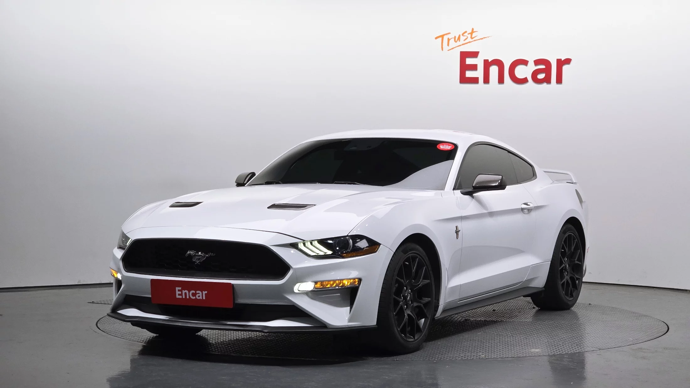 Ford mustang coupe 2022