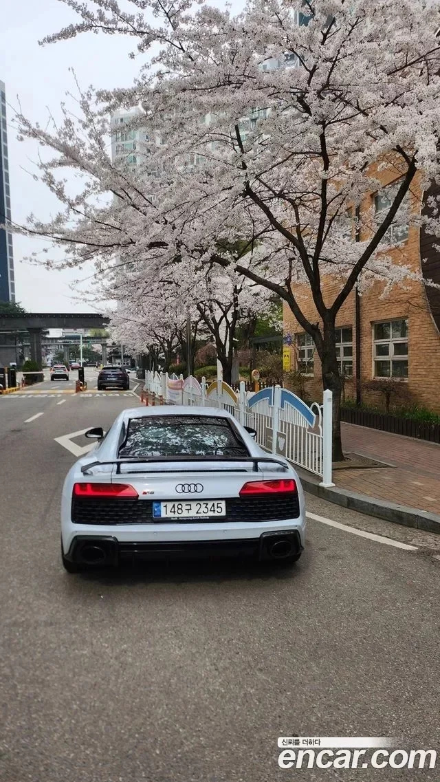 Audi R8