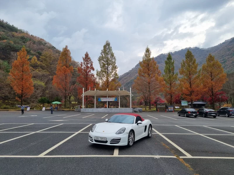 Porsche BOXSTER