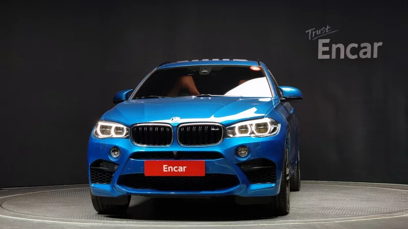 BMW X6 M