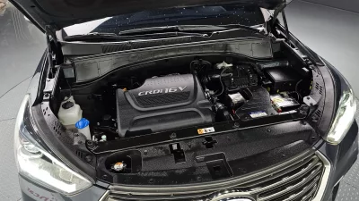 Hyundai Maxcruz