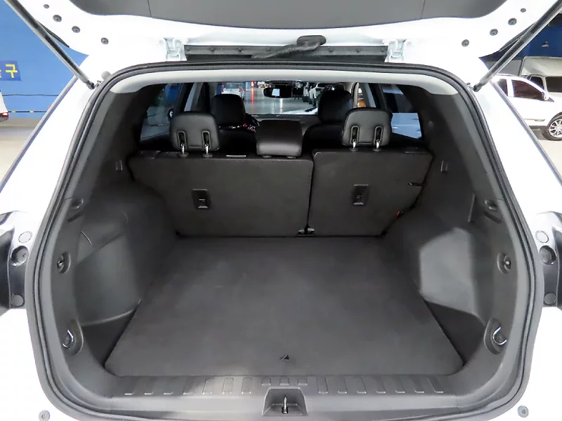 Daewoo Equinox