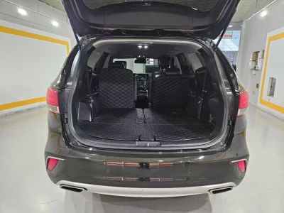 Hyundai Maxcruz