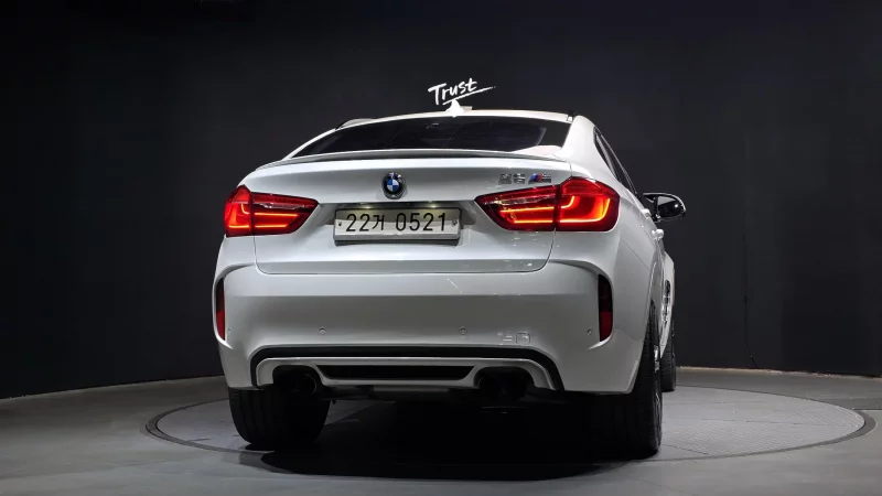 BMW X6 M
