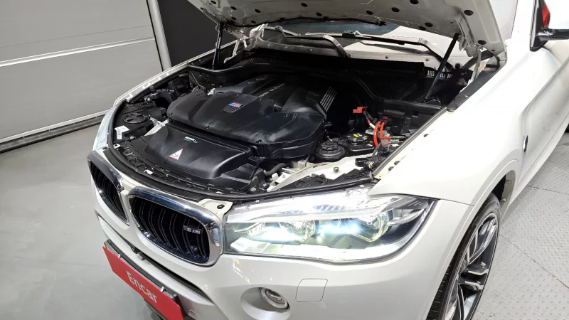 BMW X6 M