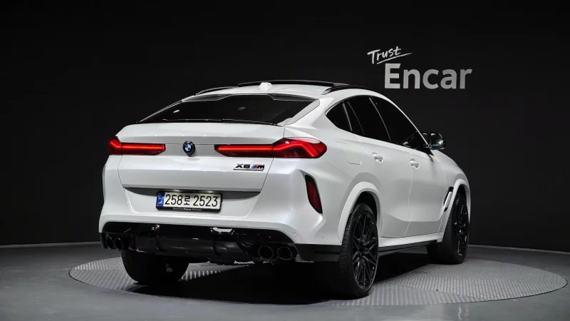 BMW X6 M