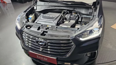 Hyundai Maxcruz