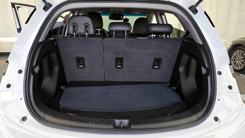 Daewoo Bolt EV