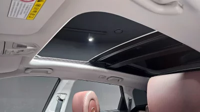 Hyundai Maxcruz