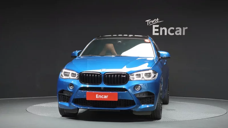 BMW X6 M