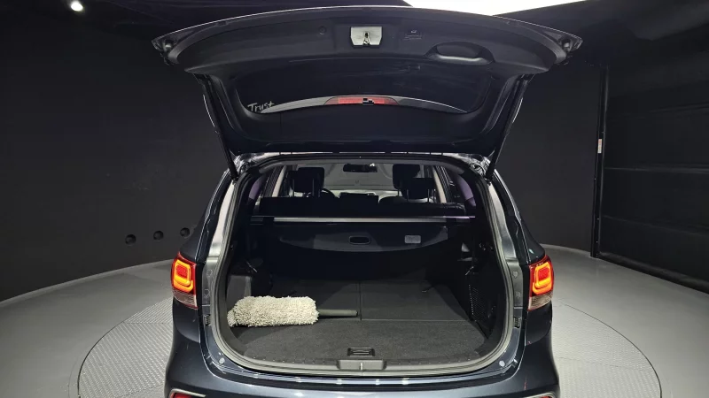 Hyundai Maxcruz
