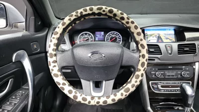 Renault Samsung SM5