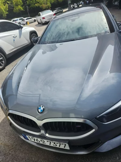 BMW 8-Series