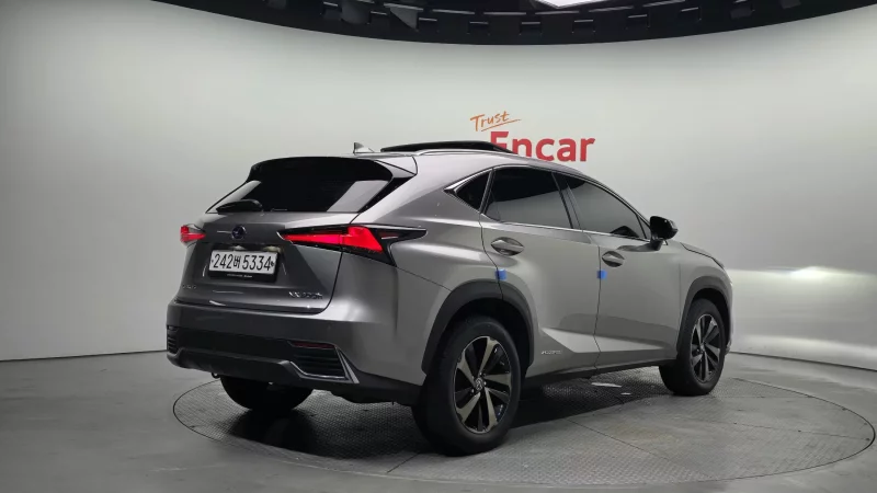 Lexus NX