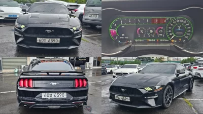 Ford MUSTANG