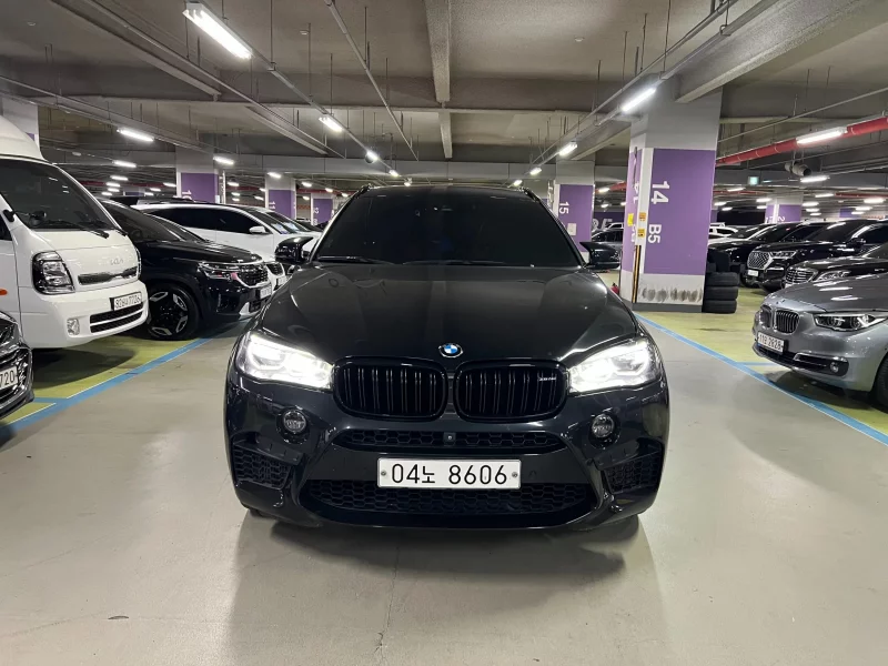 BMW X6 M