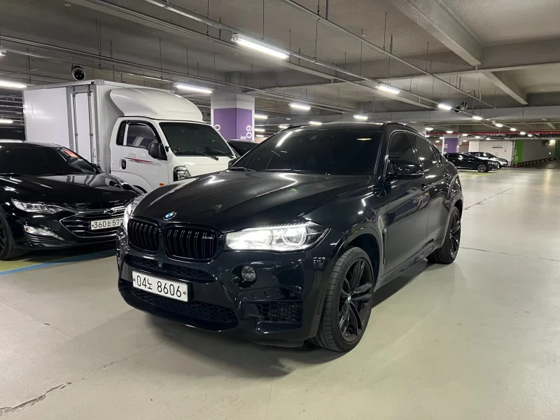 BMW X6 M