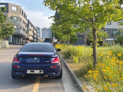 BMW M6