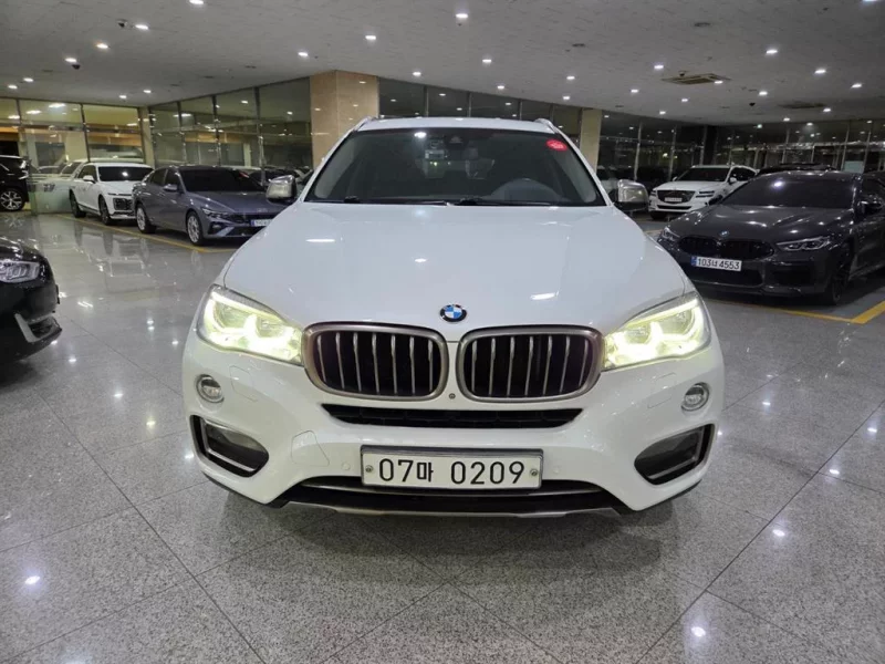BMW X6