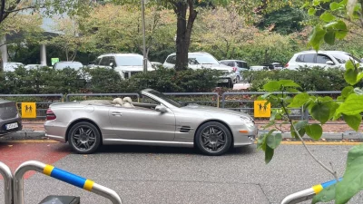 Mercedes-Benz SL-Class