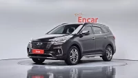 Hyundai Maxcruz