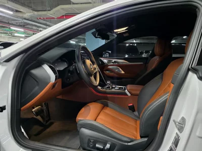 BMW 8-Series