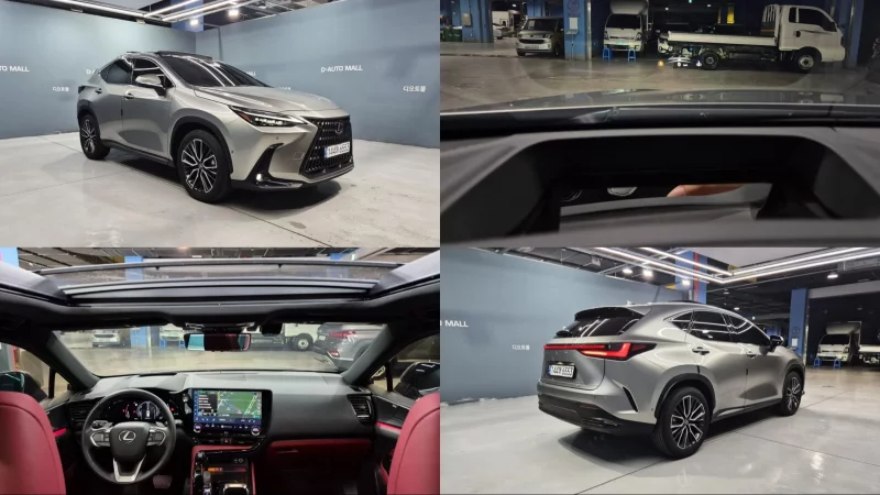 Lexus NX