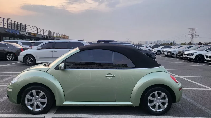 Volkswagen Beatle