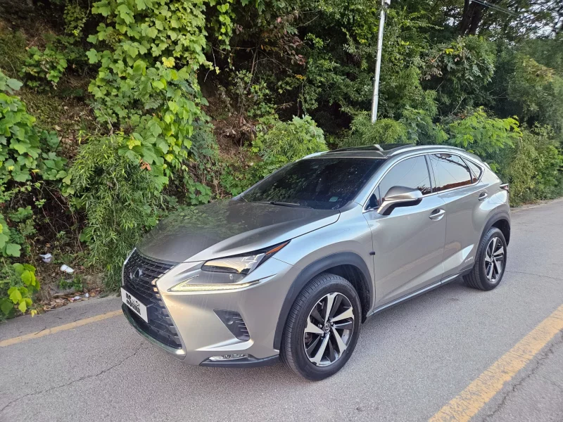 Lexus NX