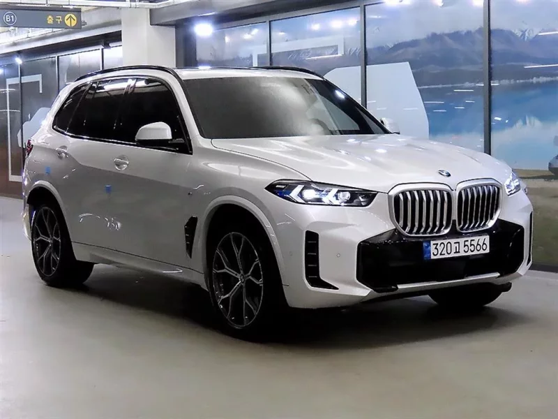 BMW X5