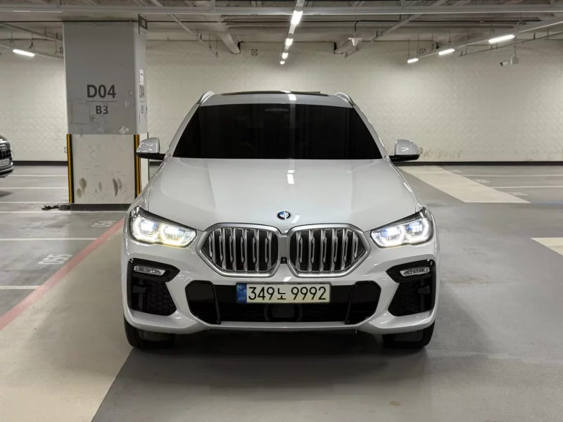 BMW X6