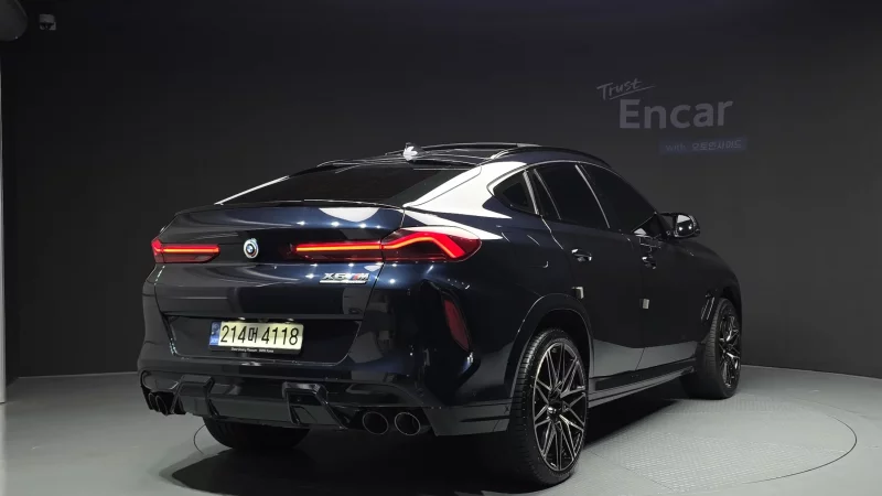 BMW X6 M