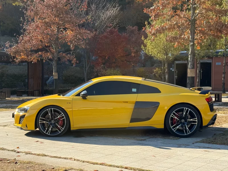 Audi R8