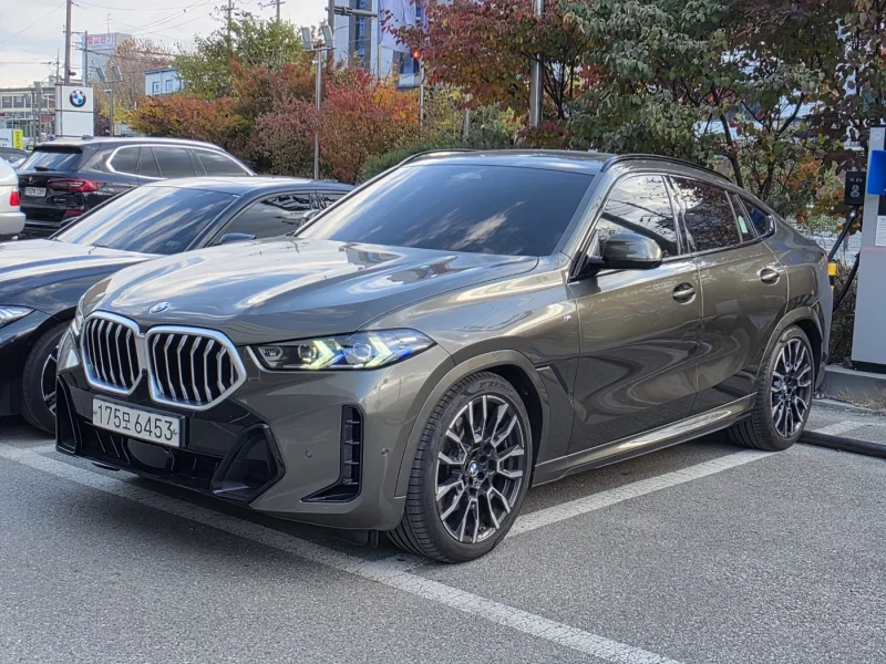 BMW X6