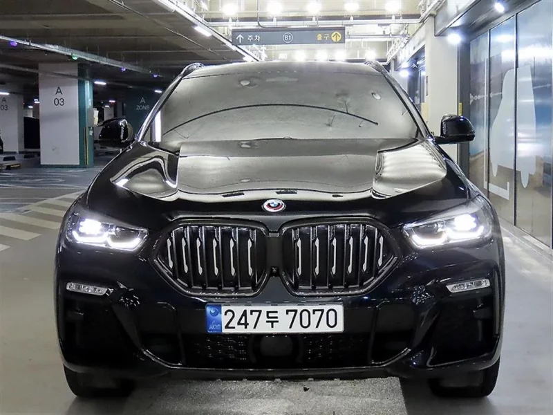 BMW X6
