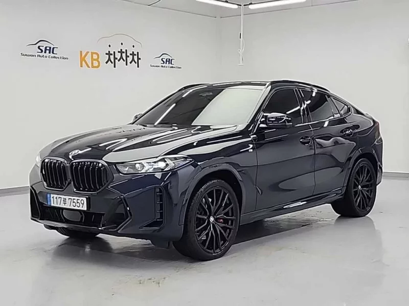 BMW X6