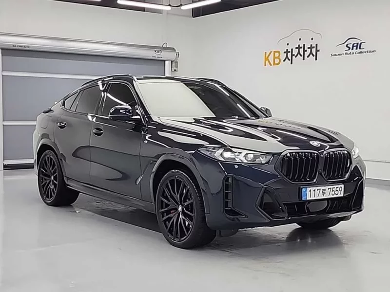 BMW X6