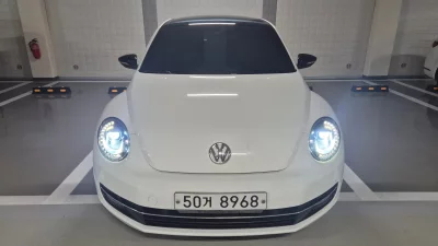 Volkswagen BEETLE