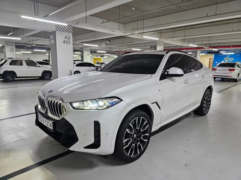 BMW X6