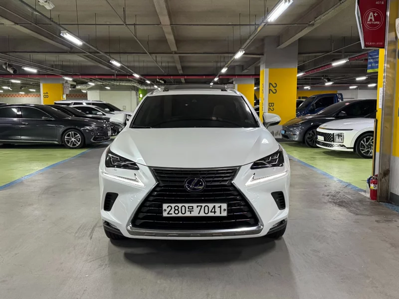 Lexus NX