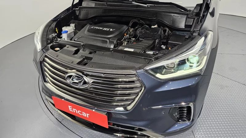 Hyundai Maxcruz