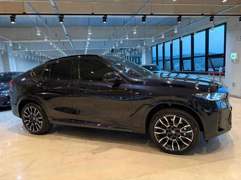 BMW X6