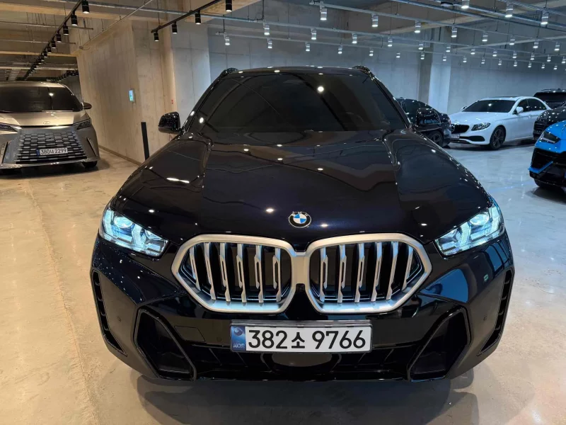 BMW X6