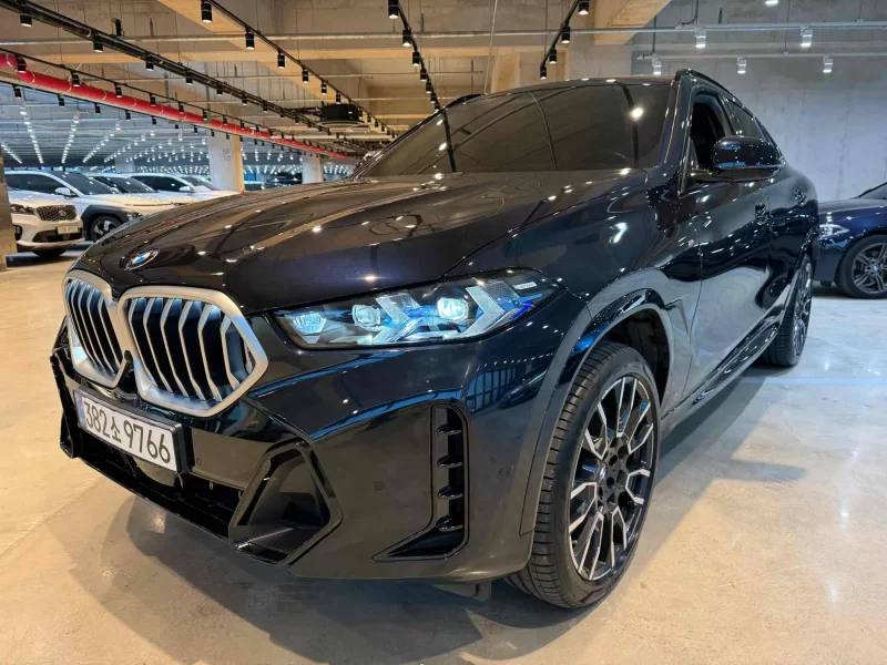 BMW X6