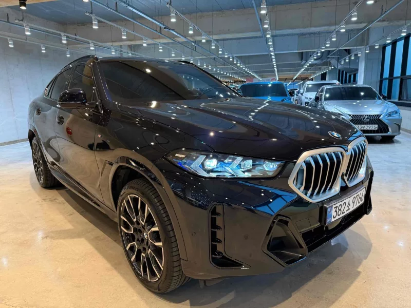 BMW X6