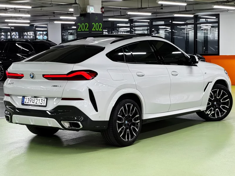 BMW X6