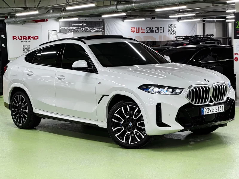 BMW X6