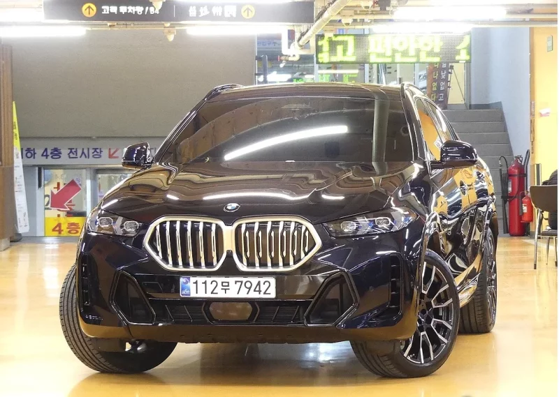 BMW X6