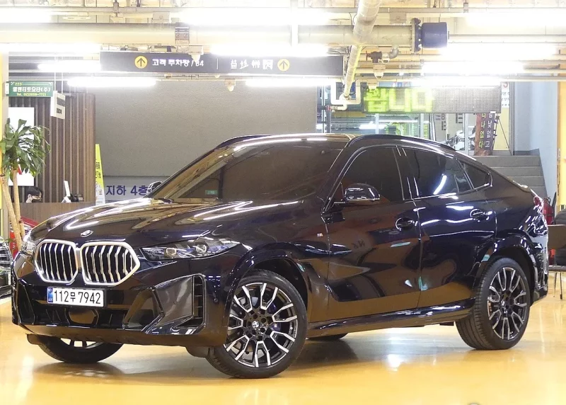 BMW X6