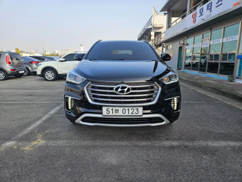 Hyundai Maxcruz